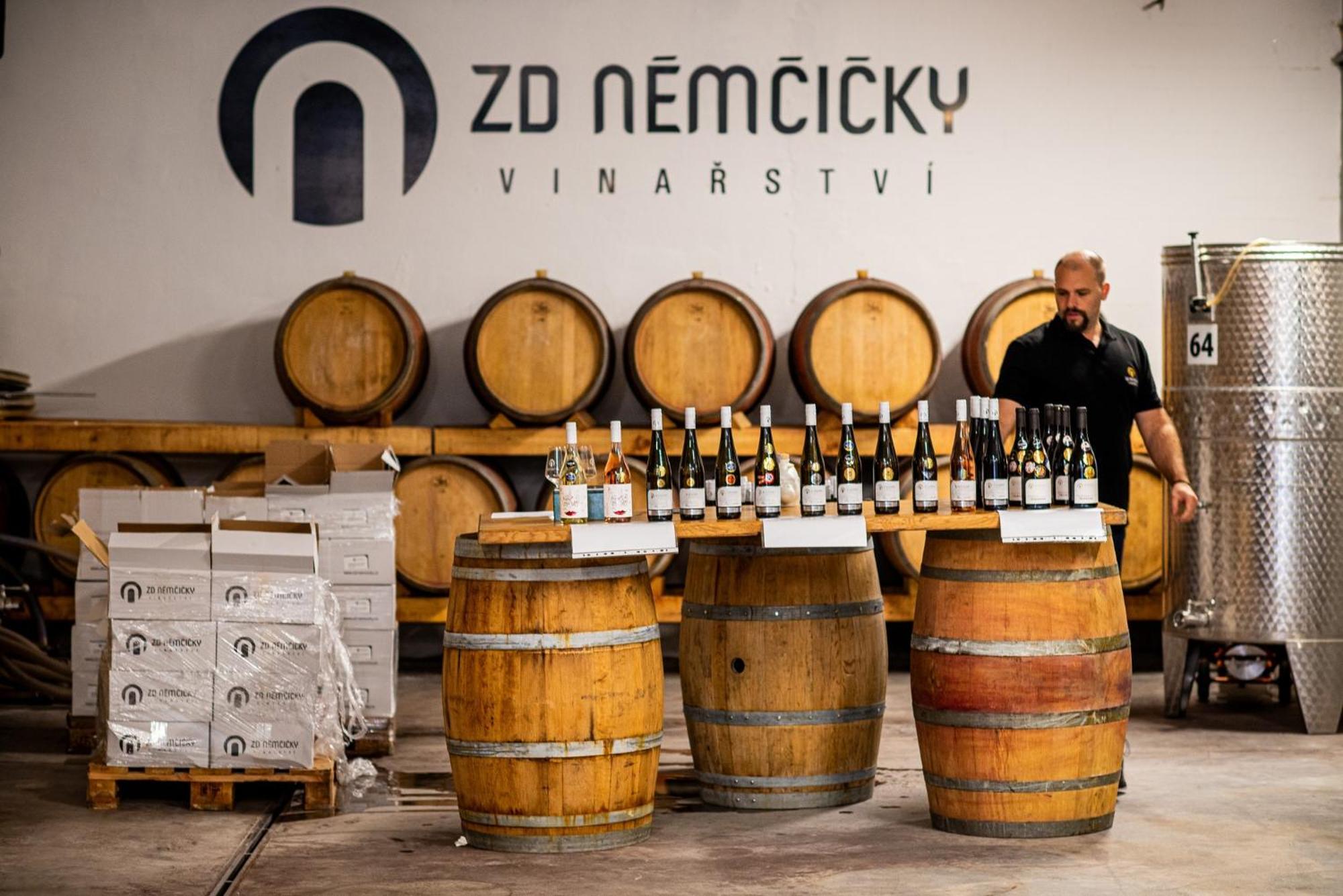 Ubytovani Ve Vinarstvi Zd Nemcicky מראה חיצוני תמונה